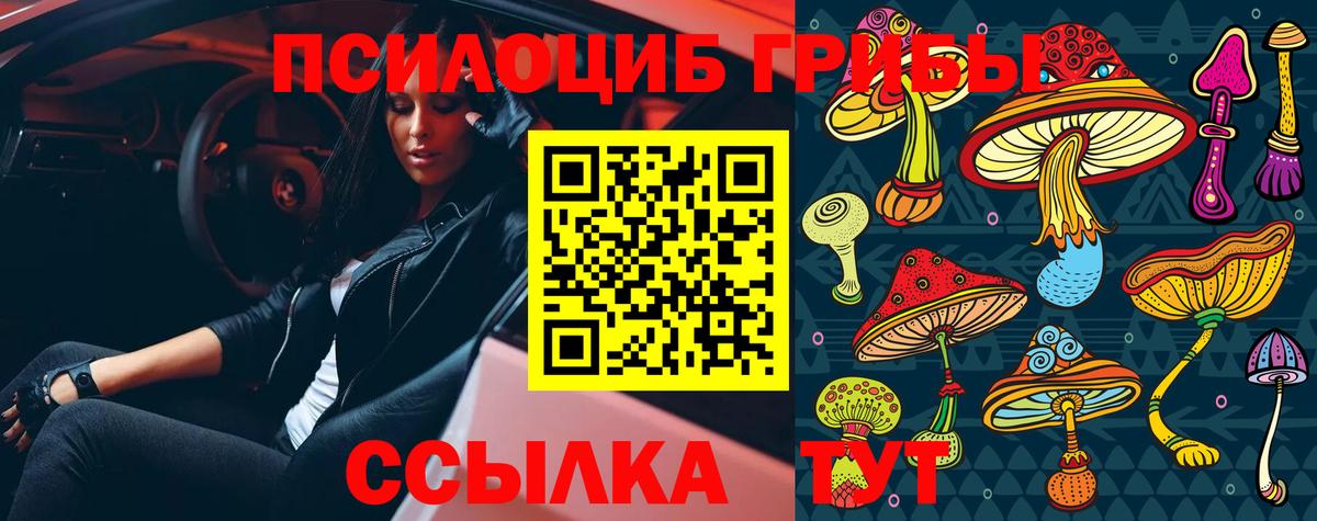 Верхняя Пышма  Псилоцибиновые грибы MAGIC MUSHROOMS  Галлюциногенные грибы мухоморы  Вход с VPN 
